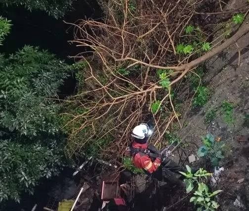 Borrachito hacía pipi en barranca y se va al fondo.