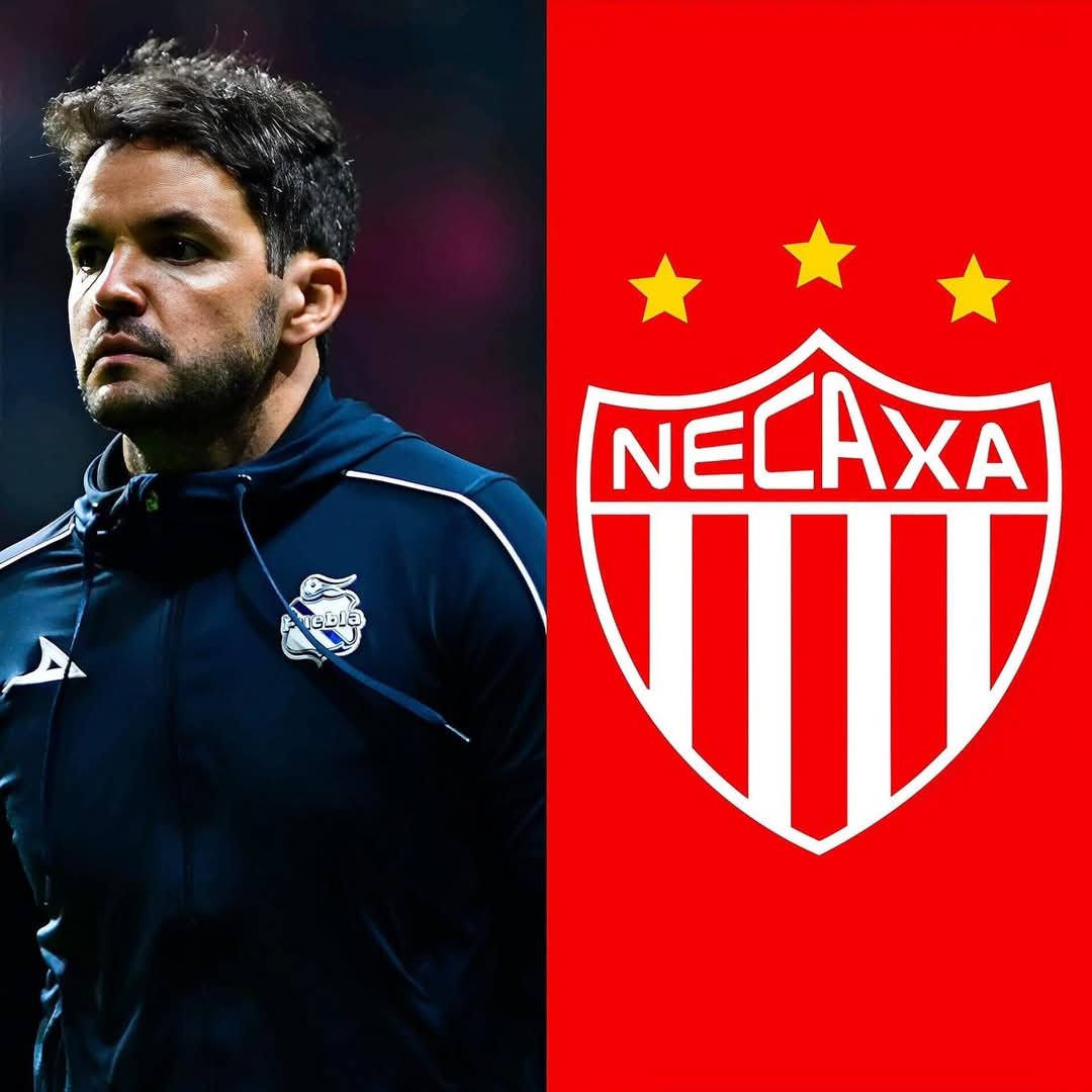 Se arma bien, Necaxa le da la bienvenida a Nicolás Larcamón.