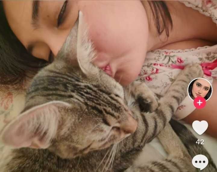 ¡MISERABLE! Falsa defensora de animales abandona gatitos enfermos en bodega.