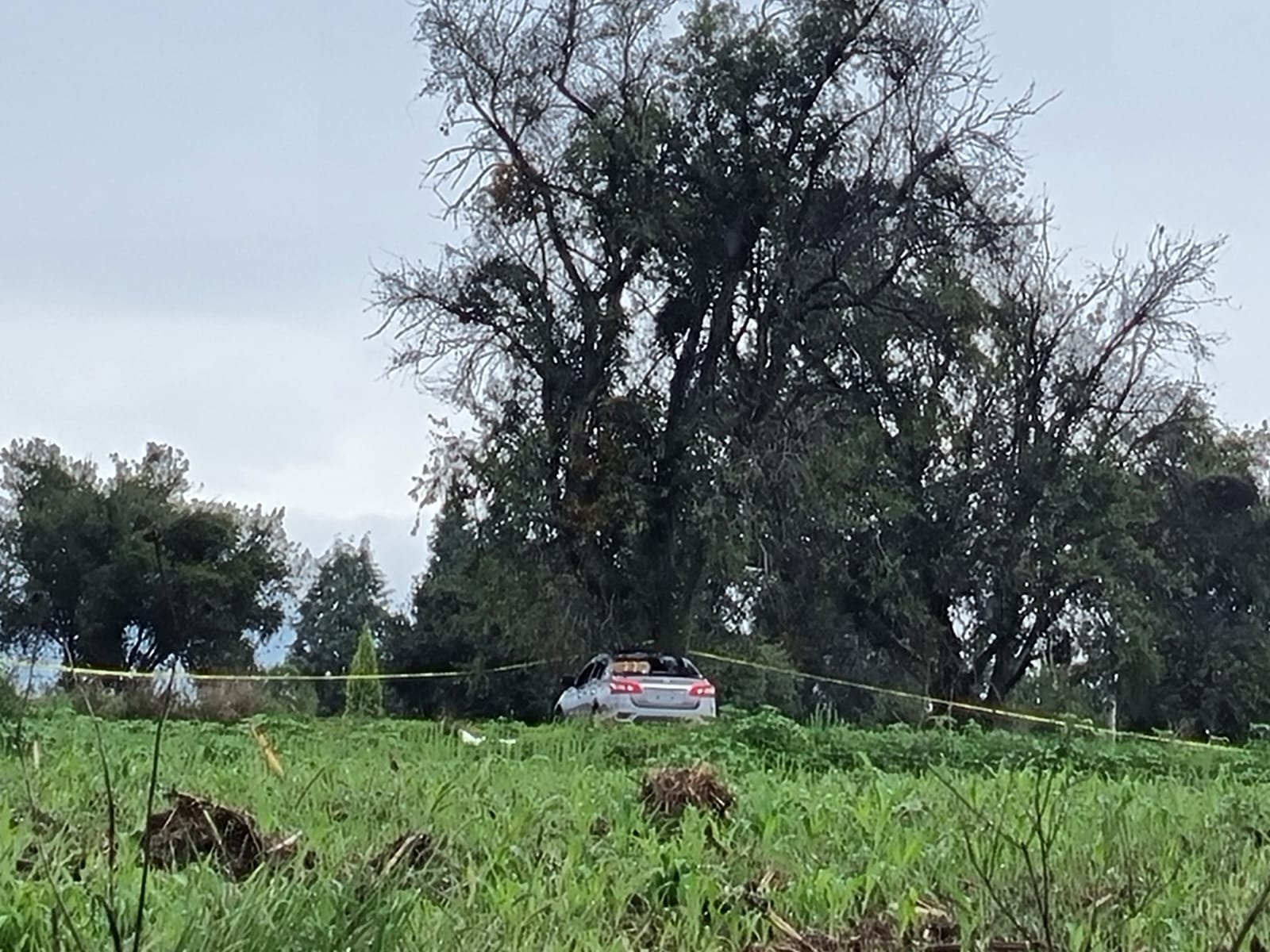 Ejecutados encontrados en Coronango fueron levantados en otro estado.