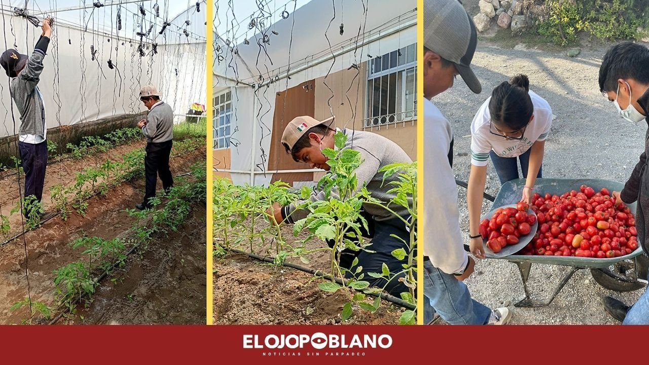 Altosano Granjas Carroll apoya conocimiento y economía de estudiantes