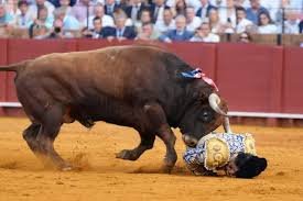 Toro coge a Morante de la Puebla y lo manda al hospital